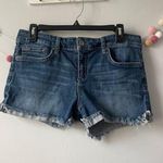 joe's jeans The Best Friend Raw Cut Denim Shorts Photo 0