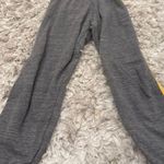 Aviator Nation  Sweatpants Photo 1