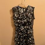 Karina Grimaldi Revolve Leonor Embroidered Lace Mini Dress in Swept Away Photo 4