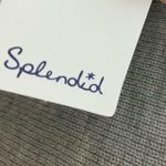 Splendid gray tight knit ruffle cuff long sleeve sweater XS NWT Photo 3