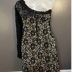 Alexia Admor  Dress Womens XS Black Nude One Shoulder Lace One Sleeve Mini USA Photo 8