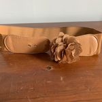 Brown Belt Tan Photo 2