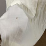 Sharon Anthony Cream Vintage Lace Collar Button Up Dress Size 16 Photo 3