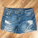 American Eagle  90s Boyfriend Jean Short 18 Photo 0