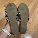 blowfish  Ginah Animal Print Bow Sandals | Size 6 Photo 4