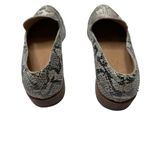 Madewell  Frances Leather Snake Pointed Toe Flat Loafers Size 6.5 Photo 5