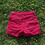 Women's LOVEsick Juniors Sz 5 Red Stretch Short Shorts Skull And Nautical Print Photo 3