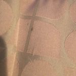 Kate Spade  Tan Shoulder Handbag Photo 2