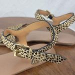 J.Crew Womens Sandals 7 Tan Black Animal Leopard Print Calf Hair Strappy Flats Photo 12