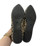 Rothy's Rothy’s The Point Flats Cheetah Size 7 Photo 7