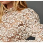 Anthropologie Dolan Sheer Lace High-Neck Top Long Puff Sleeve Top Size XL Petite Photo 2