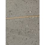 Elle  Eyeglasses Frames ONLY Metal Full Rim Oval 50-18 silver Photo 10