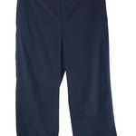 Everlane  Womens Dress Pants Trousers Wool Stretch Straight Leg Navy Blue 4 Photo 0