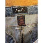 Earl Cropped Jeans High Rise Ankle length Size 4Petite Floral Embroidery Detail Photo 7