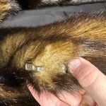 Pamela McCoy Faux Fur Light Dark Brown Color Snap Button Closure Jacket size 1X Photo 12