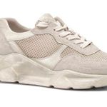 Free People NWB Let’s Wander Washed Sneakers Photo 0