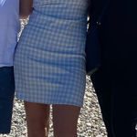 Brandy Melville  white and blue checkered dress Photo 0