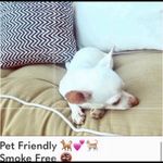 Next Level Apparel Next Level Chop Shop Live - Roanoke Texas tank Photo 3