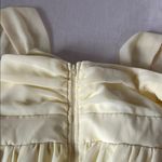 Birdy Grey  Light Yellow Gown Photo 5