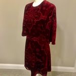 Mng Suit Burgundy Velvet Burnout Dress Red Size 4 Photo 5