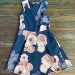 Ted Baker  Emleey Floral Fit and Flare A-Line Dress Size 3 / U.S. 6 💛🍄 Photo 6