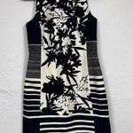 Lauren Ralph Lauren Navy Blue Cream Floral Striped Sheath Dress Womens 6 Preppy Photo 0