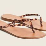 NWT J. Crew Capri Sandal Faux Tortoise Strap Summer Flip Flop Sandals Size 12 Tan Photo 0