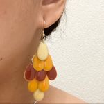 Nordstrom Carole Tuc Fall Enamel Earrings Photo 8