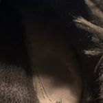 BEARPAW  Charcoal Fur-Trimmed Winter Boots Photo 6