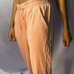 PINK - Victoria's Secret Victoria Secret PINK velour jogger pants women’s size large L Photo 1