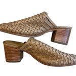 Nisolo Women's All Photo 4