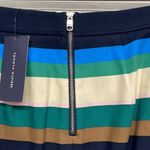 Tommy Hilfiger NWT Blue Multi Stripe Front Pleat Mini Skirt Size 6 Photo 5