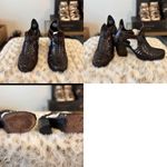 FREEBIRD by Steven  Poison 7  Photo 3