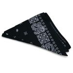 Skull & Paisley Rockabilly Bandana Bundle Red Black Blue Photo 9