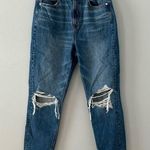 American Eagle Highest Rise Mom Jeans Size 4 Short Photo 0