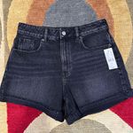 PacSun NWT Washed Black Mom Short Denim Jean Shorts High Waisted Size 27 Waist Photo 0