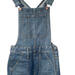 Madewell Tall Skinny Overalls in Jansing Wash Photo 4