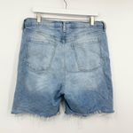 Old Navy Sky Hi Extra High Rise Distressed Loose Button Fly Jean Shorts Size 16 Photo 2