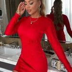 SheIn Long Sleeve Dress Photo 0