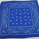 None Blue & White Bandana Photo 1