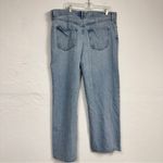 AGOLDE Blue Wide Leg Button Fly Jeans Womens 28 Casual Light Wash Denim Photo 3