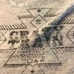 Crazy Train From daughter’s closet - Dont Need Your Bull Photo 4