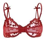 Embroidered Mesh Underwire Lingerie Set (M) Photo 1
