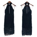 Bardot Black Lace Halter Midi Dress Party Cocktail Formal Sheer Size 6 Small New Photo 2