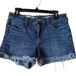 Pilcro and the Letterpress Anthropologie Pilcro Mid-Rise Slim Boyfriend Denim Medium Wash Shorts Size 28 Photo 0