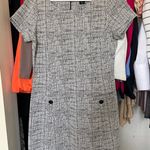 Tahari Work Dress Photo 0