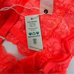 We Are HAH Chi Bralette Fried Salmon Pink Floral Lace Sheer Adjustable XS NEW Photo 13