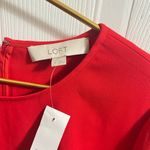 Loft Ann Taylor  Coral Sheath Ruffle Sleeve Midi Dress Sz 14 Career Church Modest Photo 8