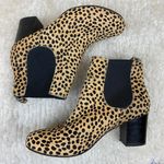 Sole Society  Mimi Chelsea Ankle Boots In Cheetah Dot Black Size 8.5 Photo 1