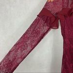 For Love & Lemons  Daphne Bordeaux dress Photo 3